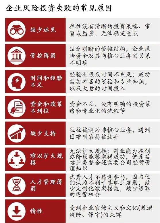 科技號投資風險解析，全面評估與投資建議