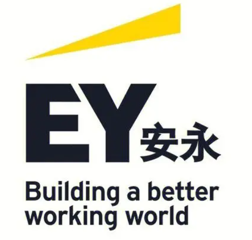 安永科技風險智護，企業(yè)安全的智能守護先鋒,安永科技服務圖示,安永科技風險咨詢和審計,第1張