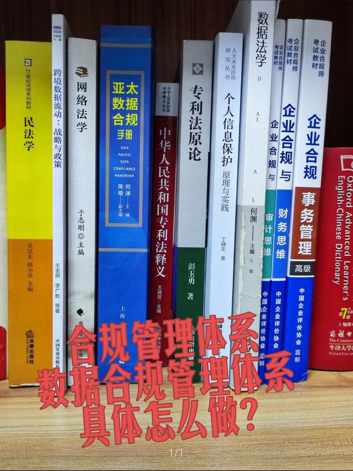 數據合規科技風險管理的與策略應對,數據合規科技圖解,數據合規科技的風險規制,第1張